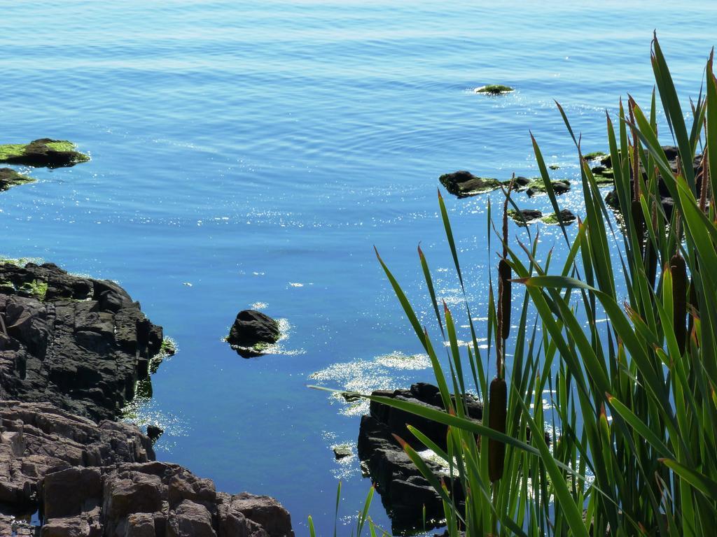 Sea View Apartments Sozopol Esterno foto